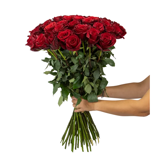 Kytice ekvádorských růží 80 cm